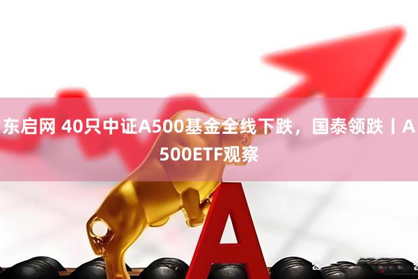 东启网 40只中证A500基金全线下跌，国泰领跌丨A500ETF观察