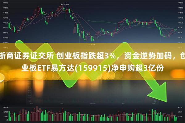 浙商证券证交所 创业板指跌超3%，资金逆势加码，创业板ETF易方达(159915)净申购超3亿份